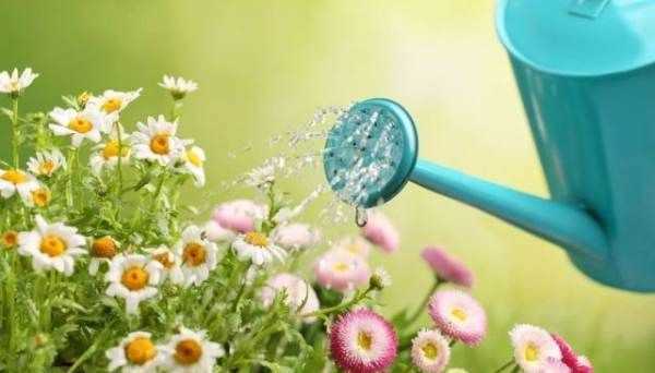 曲別針的用途 發(fā)散思維,生活中的發(fā)散思維例子經(jīng)典案例圖片圖9