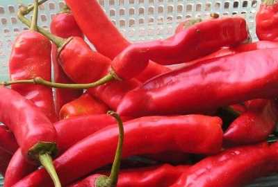 甜面醬辣椒醬的制作方法及配料,有誰(shuí)知道甜面醬,辣椒醬具體是怎么弄的呢圖10