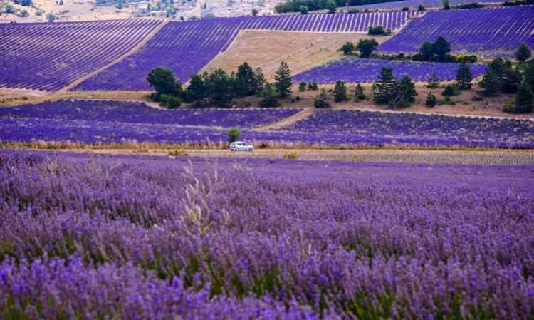 普羅旺斯是哪個(gè)國家的