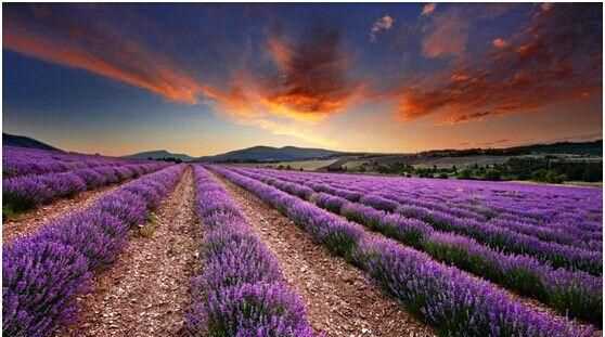 普羅旺斯在哪個(gè)國家的市區