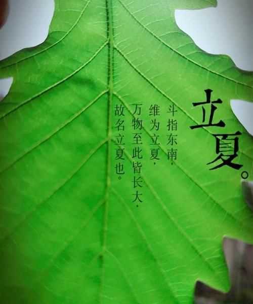 關(guān)于立夏的古詩(shī)二年級的