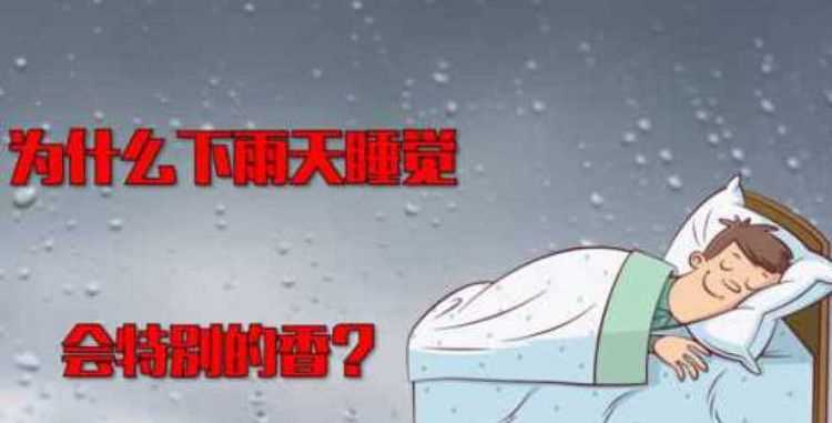 為什么人家下雨天犯困而我特別精神