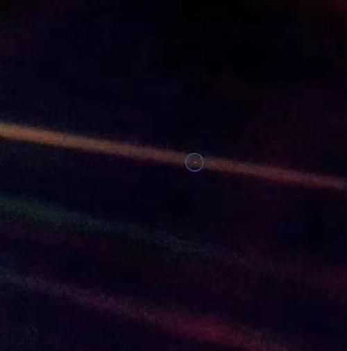 塵埃是什么意思