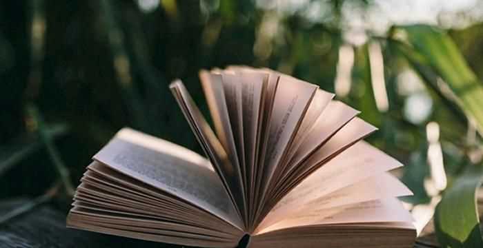 廣東話(huà)的早晨是什么意思