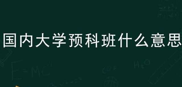 預科生是什么