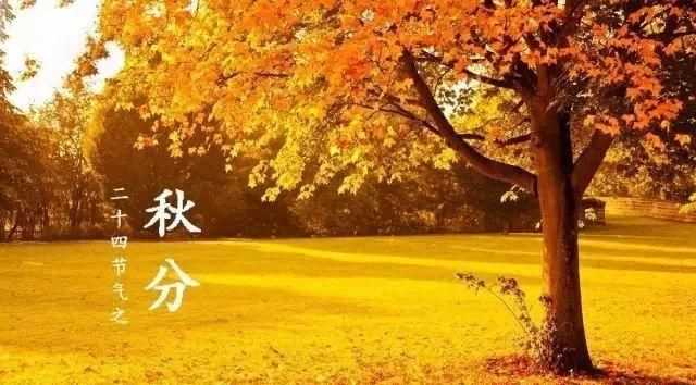 秋分節氣什么意思