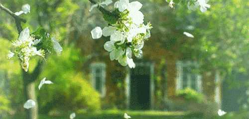 什么是忘年戀，什么是忘年戀？圖6