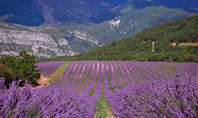 普羅旺斯在哪個(gè)國家的市區