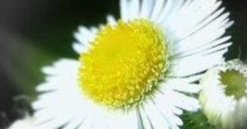 節哀順變是什么意思,節哀順變是什么意思圖1