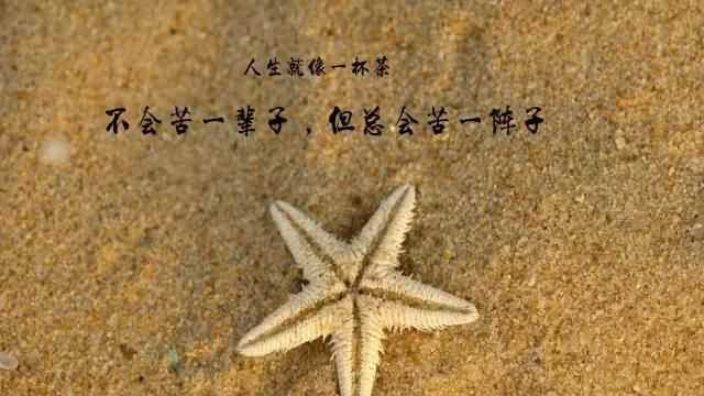 激勵人心的句子經(jīng)典短句