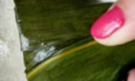 蜜棗粽子的做法，蜜棗粽子的做法和包法？圖15