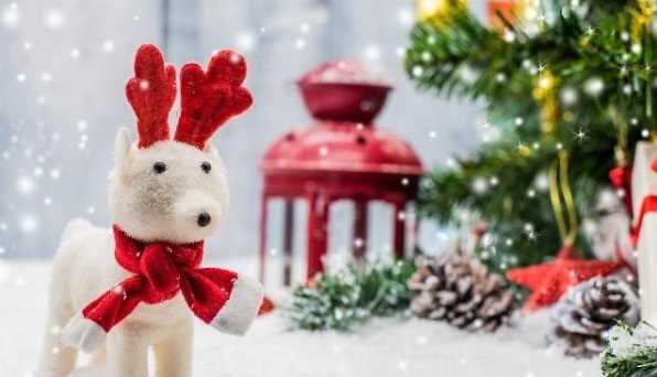 圣誕節起源于哪個(gè)國家,圣誕節來(lái)源于哪個(gè)國家等共性問(wèn)題圖3