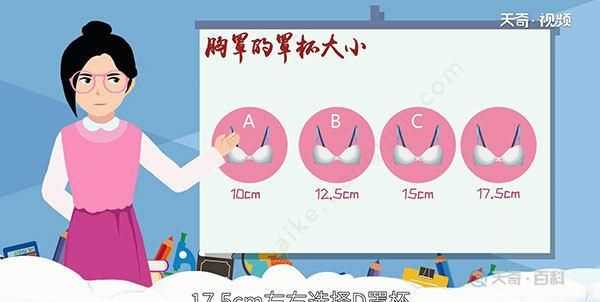 文胸尺寸，文胸尺碼表是以什么為對照表？圖3