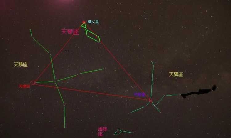 牽牛星屬于什么星座