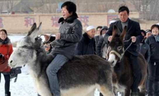 歇后語(yǔ)騎驢看唱本,騎驢看唱本后面一句歇后語(yǔ)是什么圖2