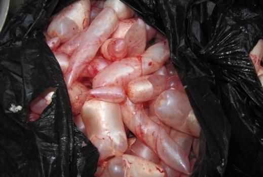 魚(yú)肚子里的白球是什么東西