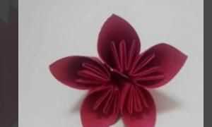花怎么折，紙花怎么做？圖7