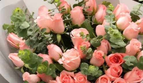 母親節送什么花,母親節送什么花給媽媽最合適?圖5