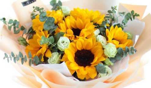 母親節送什么花,母親節送什么花給媽媽最合適?圖6