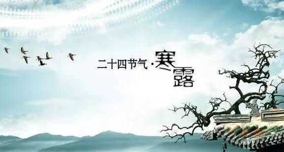 9月9日是重陽(yáng)節還是九月初九是重陽(yáng)節