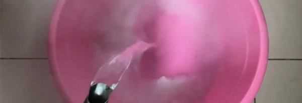 菜板生蟲(chóng)子怎么辦,木砧板生蛀蟲(chóng)怎么辦呢圖3