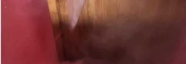 菜板生蟲(chóng)子怎么辦,木砧板生蛀蟲(chóng)怎么辦呢圖4