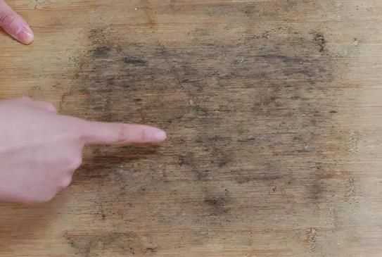 菜板上有小蟲(chóng)子是怎么回事兒