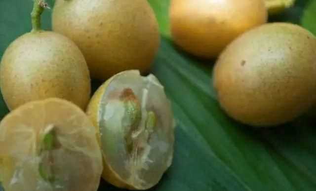 石黃皮怎么保存