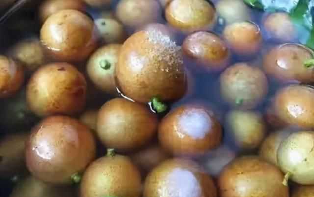 黃皮怎么保鮮，石黃皮怎么保存？圖3