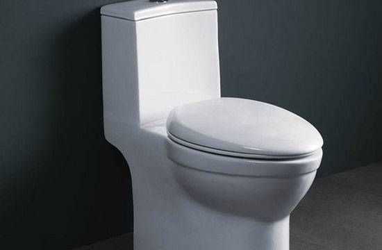 一般家里的馬桶使用幾年后需要更換