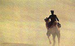 舊時(shí)稱(chēng)郵局為什么,郵局和郵政局是一樣的嗎圖4