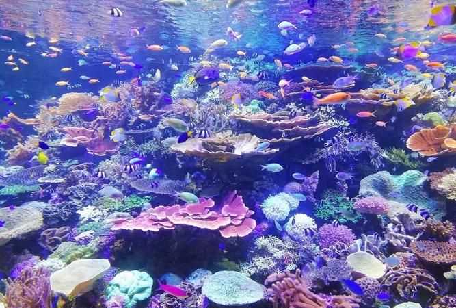 航速30節等于多少kmh，一海里等于多少公里