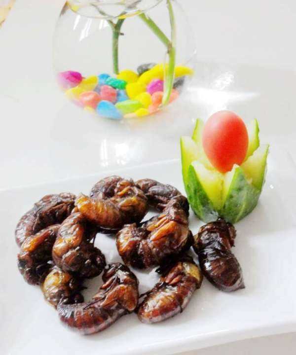 知了猴怎么炸才好吃,知了猴怎么做才好吃圖7