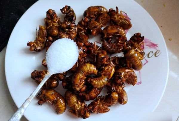 知了猴怎么炸才好吃,知了猴怎么做才好吃圖16