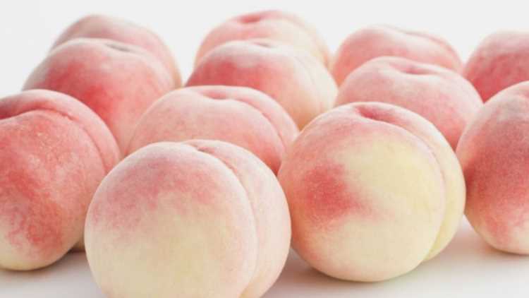 白鳳桃好吃還是湖景桃好吃