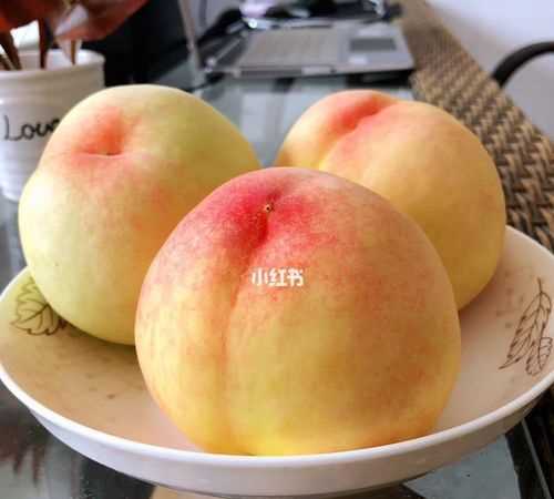 水蜜桃的產(chǎn)地是哪里什么時(shí)候成熟