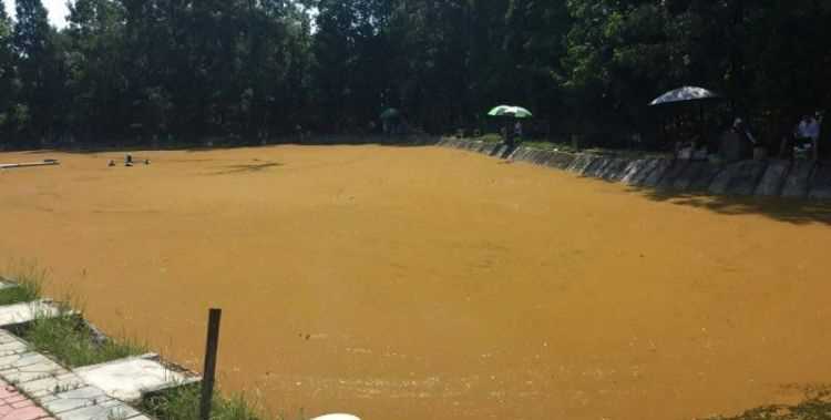 魚(yú)塘里有銹水怎么處理視頻