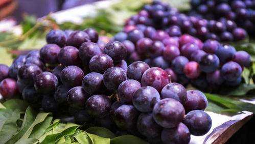 葡萄可以寄快遞嗎,順豐快遞葡萄可以寄圖4