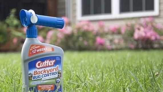 殺蟲(chóng)劑對跳蚤有用嗎，殺蟲(chóng)劑噴對跳蚤有效嗎？圖3