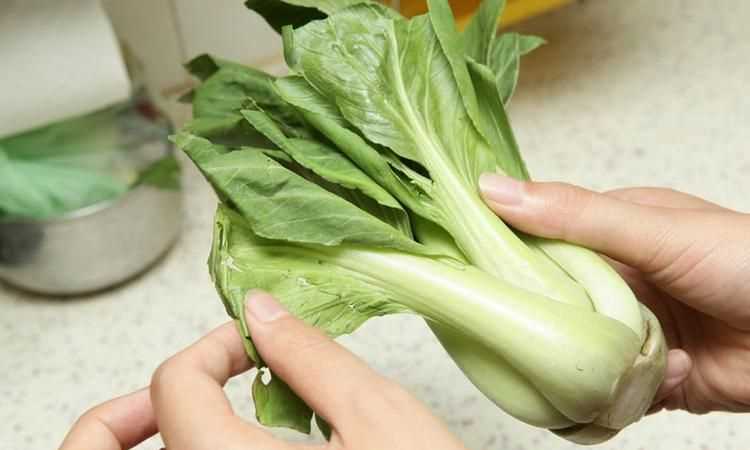 各種蔬菜如何保鮮