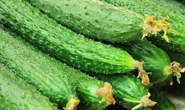 黃瓜吃多了會(huì )胖嗎?