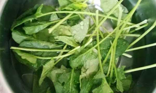 菠菜雞蛋湯的做法,西紅柿雞蛋菠菜湯的做法圖2