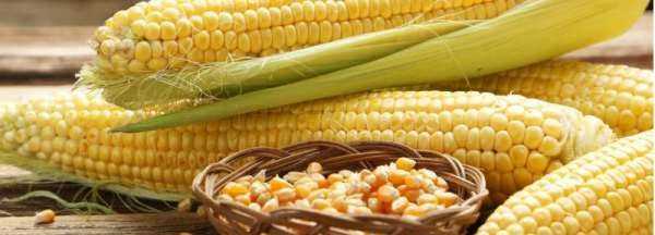 如何判斷生玉米壞了,怎么判斷玉米是否變質(zhì)能否吃圖2