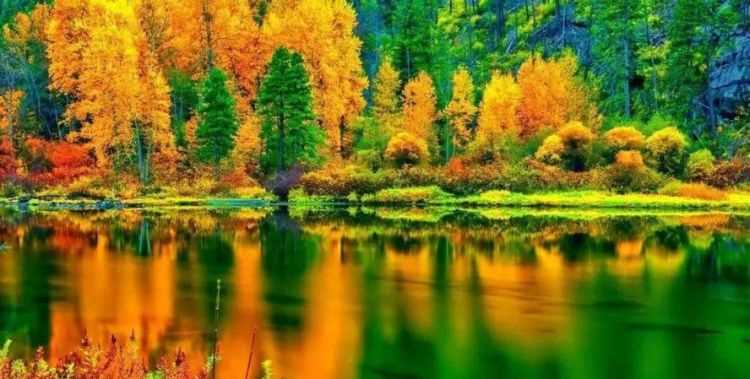 秋天是幾月到幾月 幾月是秋天呢