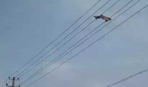 高壓線(xiàn)多少米無(wú)輻射,高壓線(xiàn)多少米無(wú)輻射 國外標準圖1