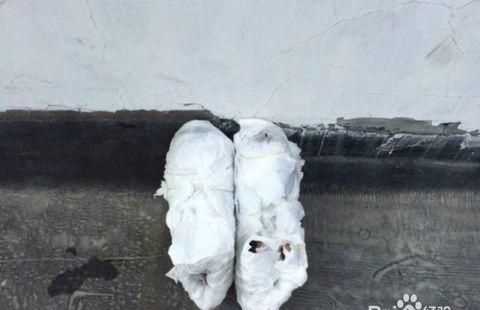 黑色鞋子曬黃了怎么變回來(lái)