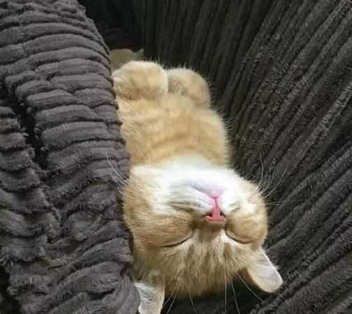 什么的睡覺(jué)填空詞語(yǔ)三年級