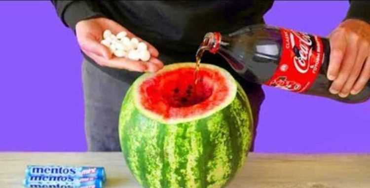 可樂(lè )和西瓜一起吃為什么會(huì )拉肚子