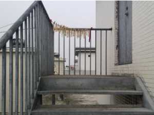 鮮竹筍如何制作筍干,筍干怎么制作圖3