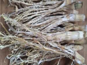 鮮竹筍如何制作筍干,筍干怎么制作圖4